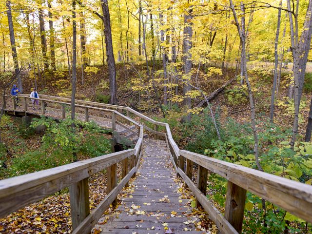 A wooden boardwalk winds through a forest with autumn trees and fallen leaves along a narrow, rustic path.