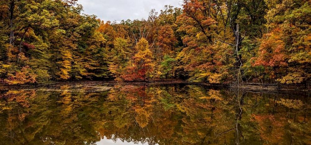A serene lake reflecting colorful autumn trees with a cloudy sky above, creating a tranquil and picturesque scene.
