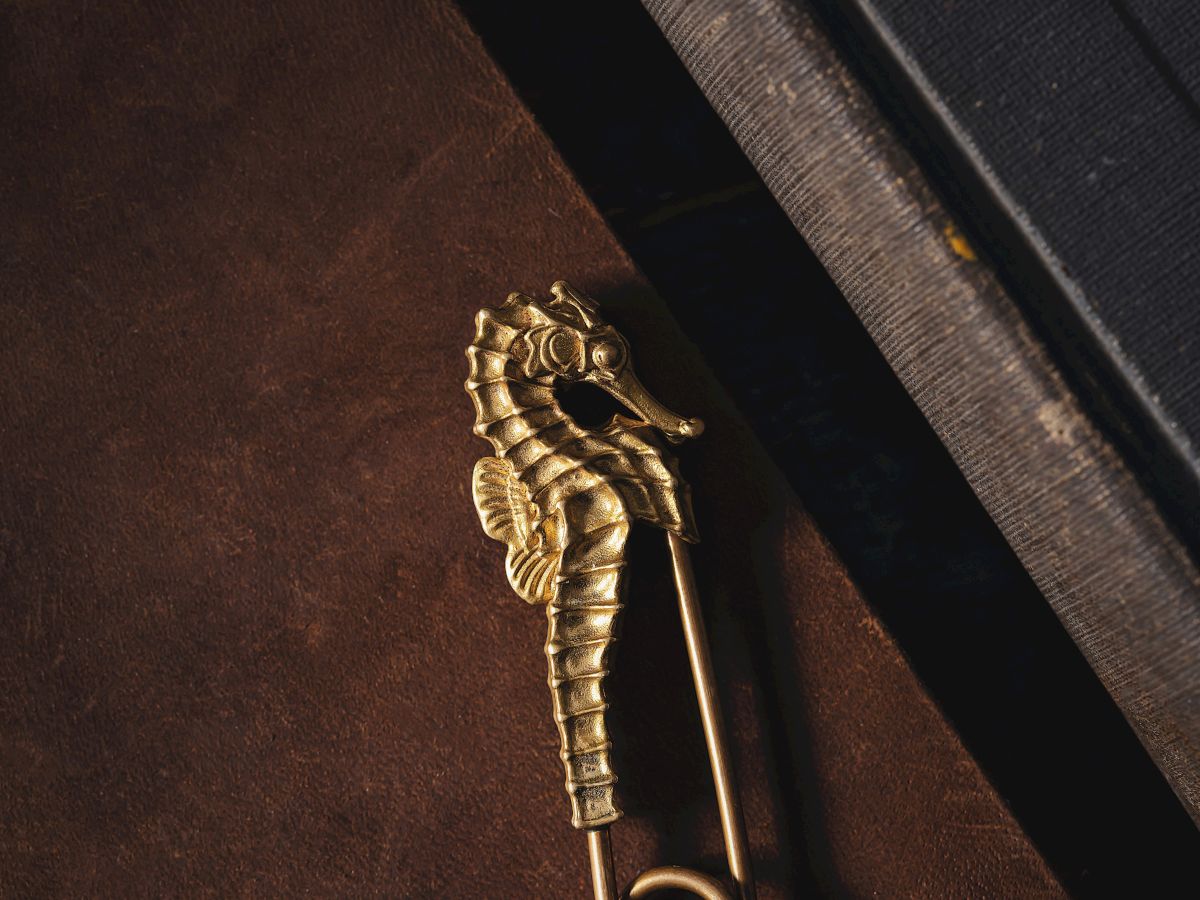 A seahorse-shaped gold safety pin is placed on a brown leather book cover against a darker background.