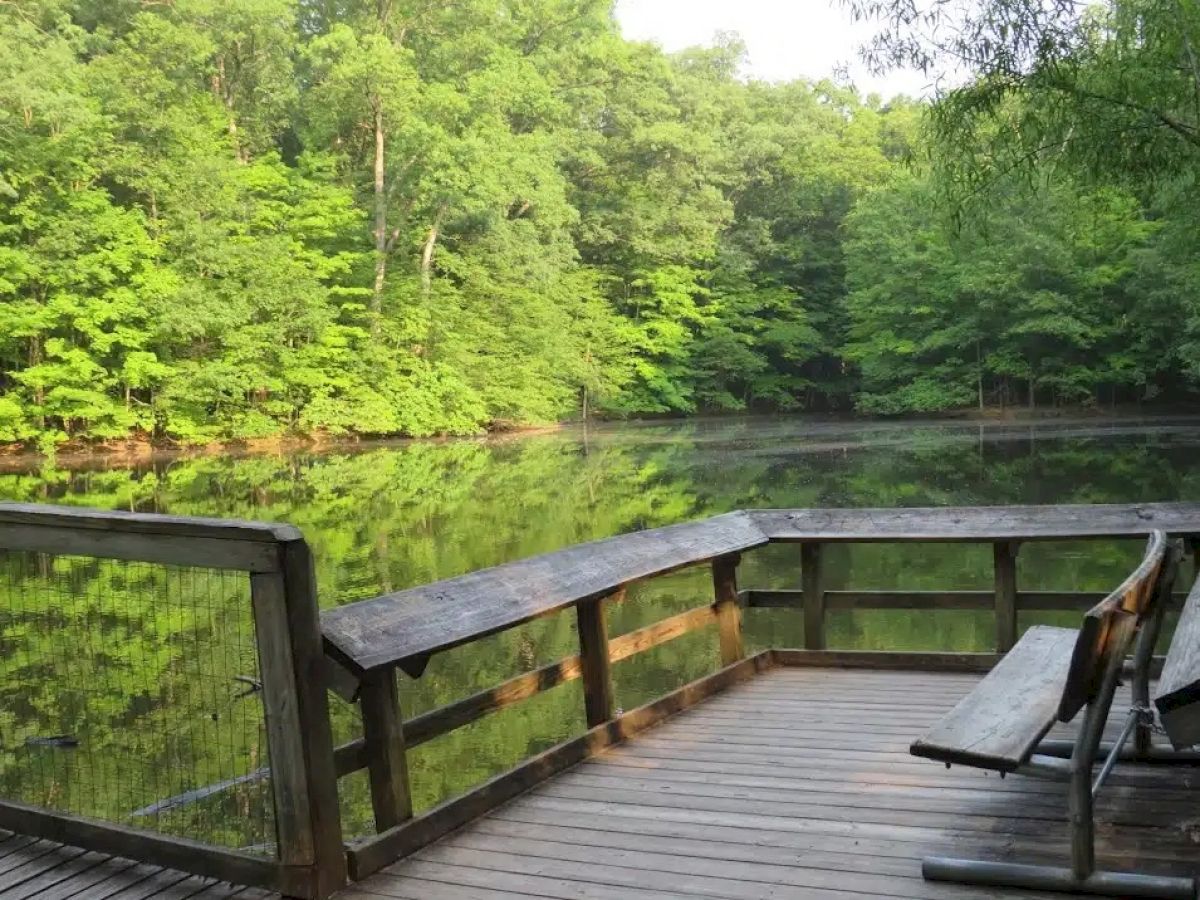 A peaceful wooden deck overlooks a tranquil pond surrounded by lush green trees, with a bench positioned for relaxation.