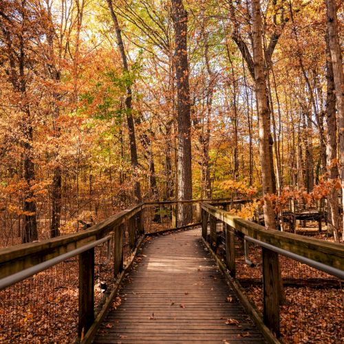 Boardwalk path through a wooded area in Lindenwood Nature Reserve near Fort Wayne, offering a calm natural escape close to The Amaya